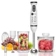 AFRA Hand Blender 5 in 1, Multiple Speed Settings, Stainless Steel, Japanese Technology, 600W, Chopper, Mixing Cup, Whisk, AF-14600BLCR, 2 years warranty