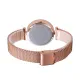 AFRA REGINA LADIES WATCH ROSE GOLD CASE GOLD DIAL ROSEGOLD MESH BRACELET