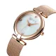 AFRA PEARLESCENT LADIES WATCH ROSE GOLD CASE BLACK DIAL ROSEGOLD MESH BRACELET