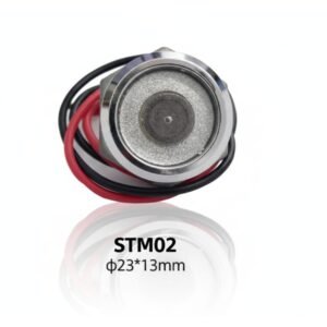 STM02 TM Key Probe Dallas Accessories Series.