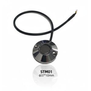 STM01 TM Key Probe Dallas Accessories Series.