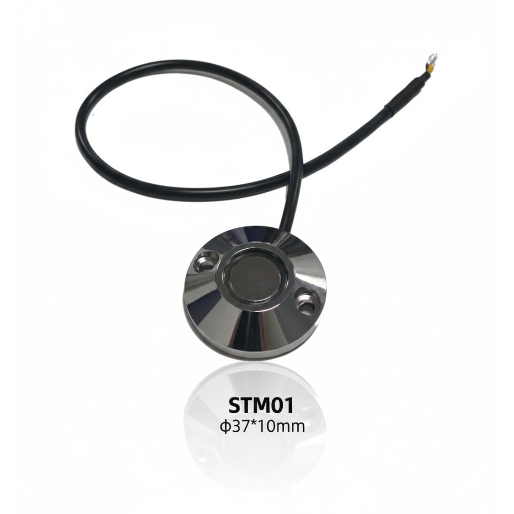 STM01 TM Key Probe Dallas Accessories Series.